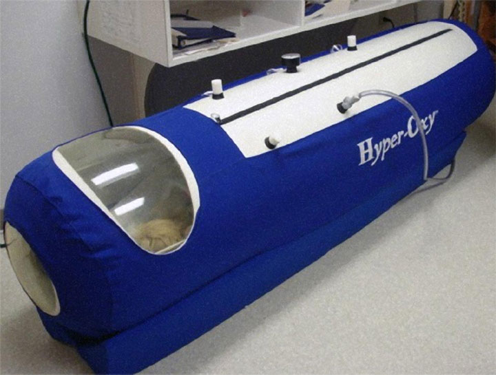 Hyperbaric Oxygen Therapy for pets